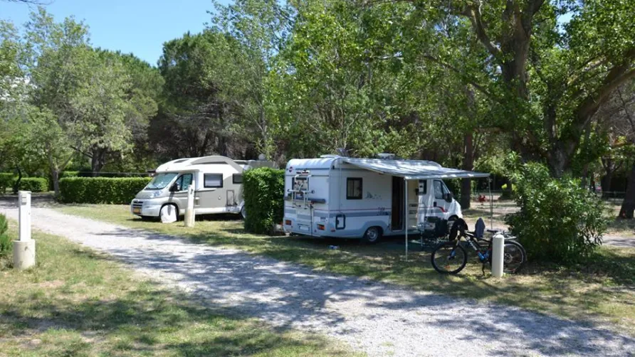 Flower Camping Olivigne