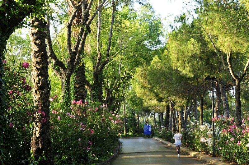 Homair - Vilanova Park