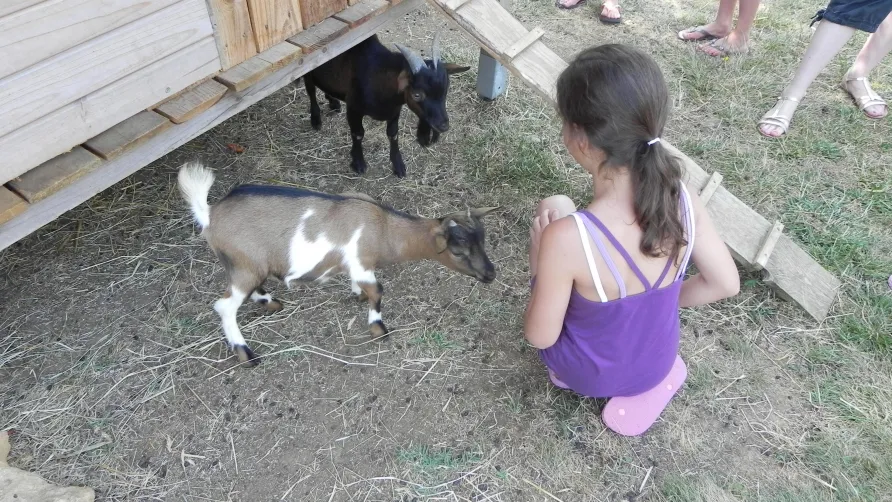 Camping L'Offrerie
