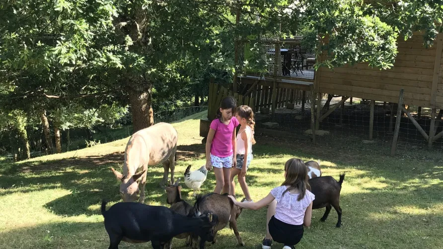 Camping L'Offrerie