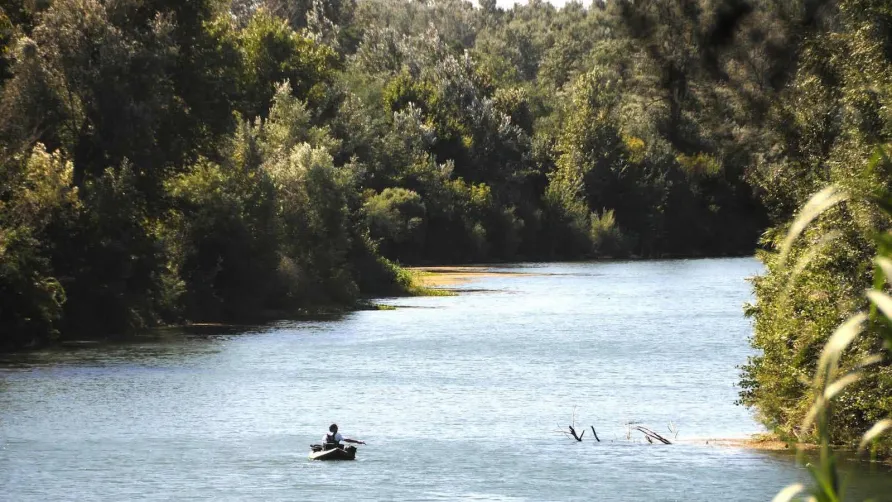 Camping Bellerive