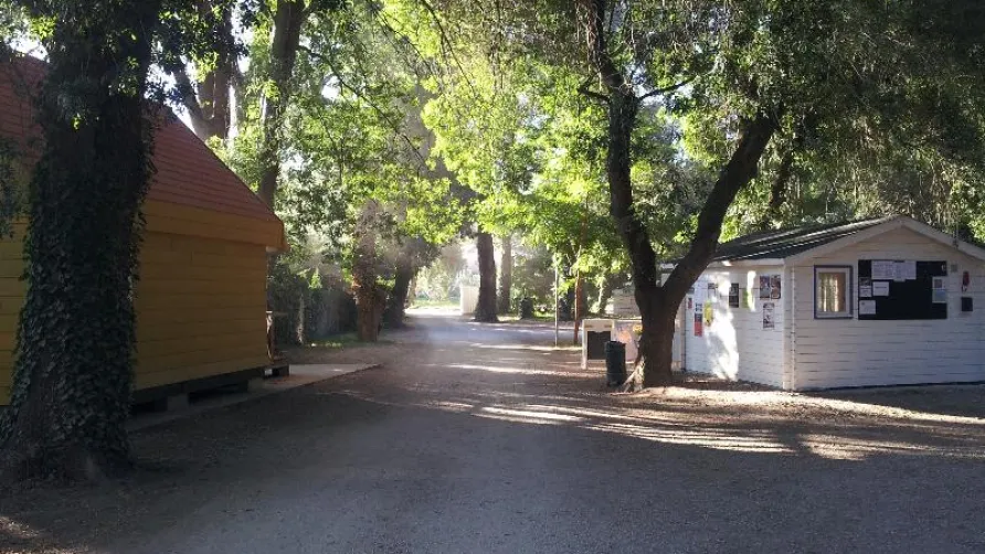 Camping Bellerive