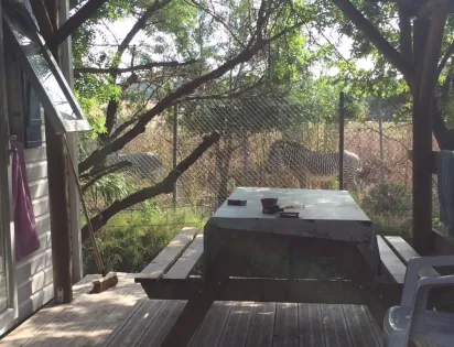 Camping La Grange Neuve - Face à La Réserve Africaine de Sigean