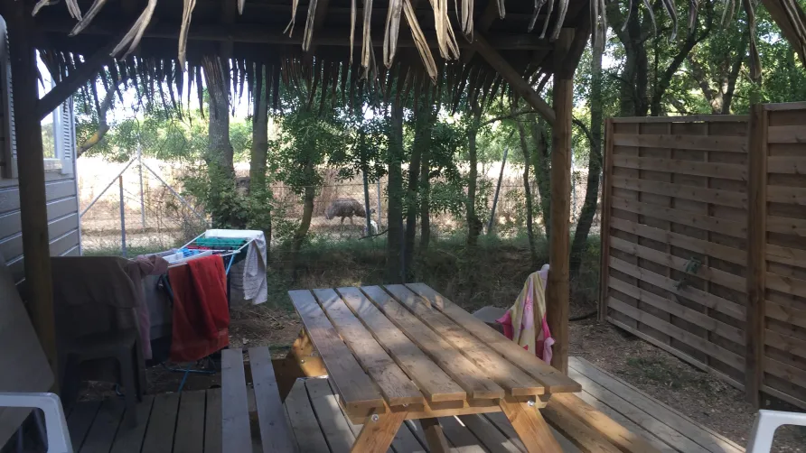 Camping La Grange Neuve - Face à La Réserve Africaine de Sigean