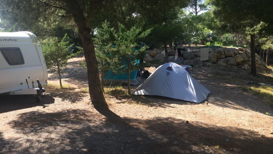 Camping La Grange Neuve - Face à La Réserve Africaine de Sigean