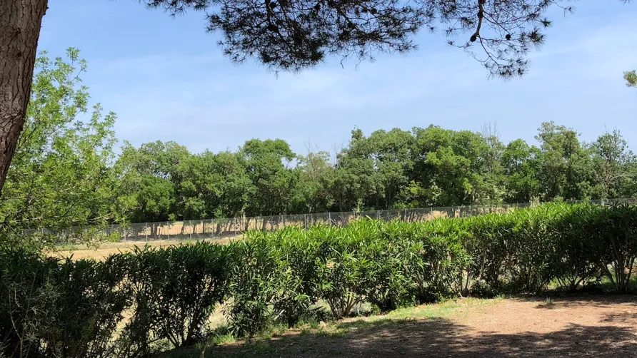 Camping La Grange Neuve - Face à La Réserve Africaine de Sigean