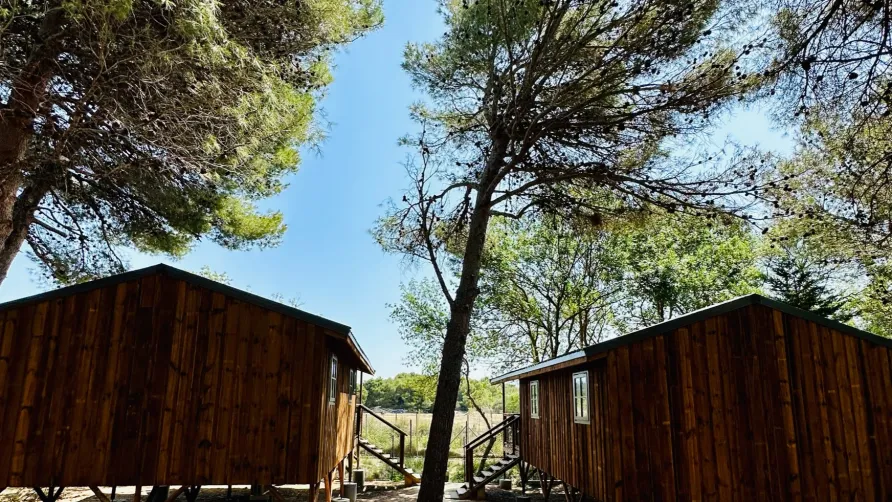 Camping La Grange Neuve - Face à La Réserve Africaine de Sigean