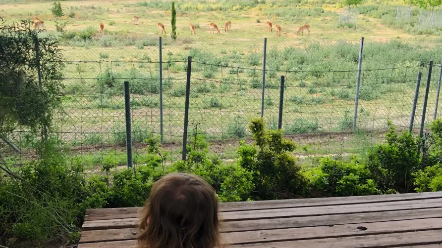 Camping La Grange Neuve - Face à La Réserve Africaine de Sigean