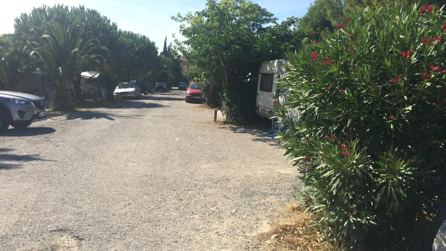 Camping La Grange Neuve - Face à La Réserve Africaine de Sigean