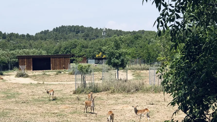 Camping La Grange Neuve - Face à La Réserve Africaine de Sigean