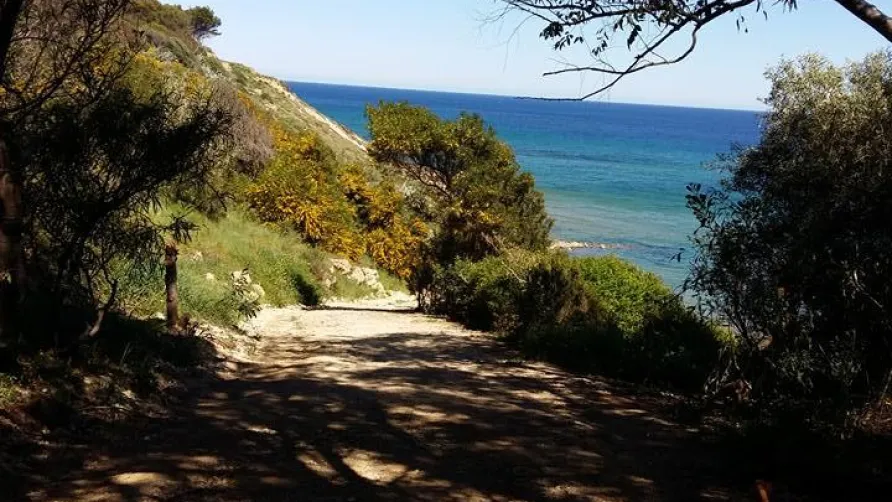 Camping Club Naturista Pizzo Greco