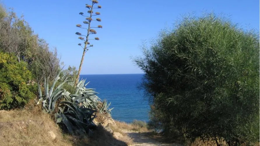 Camping Club Naturista Pizzo Greco