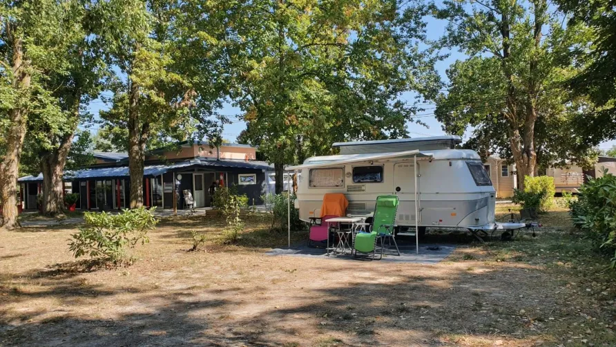 CAMPING LES VIOLETTES