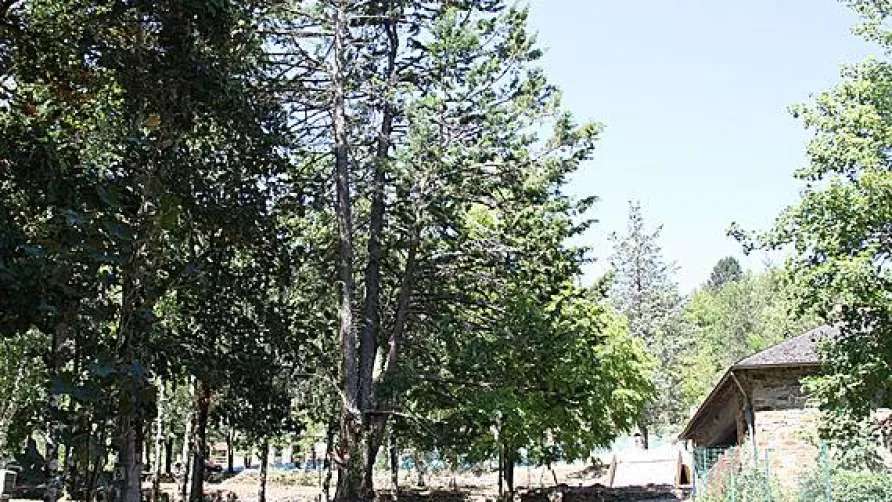Domaine L'Ecrin Vert
