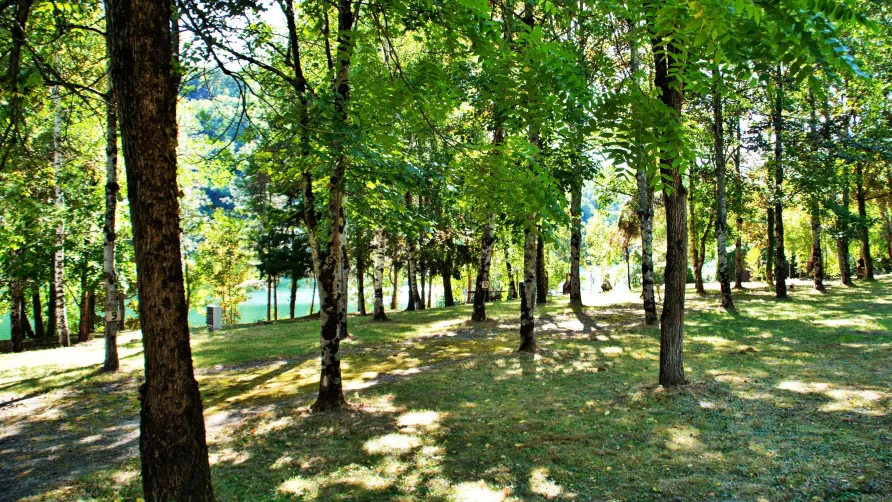 Domaine L'Ecrin Vert