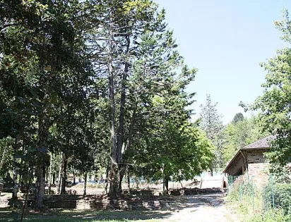 Domaine L'Ecrin Vert