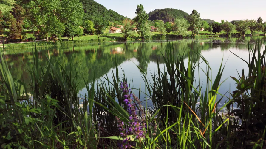 Domaine du Lac de Champos