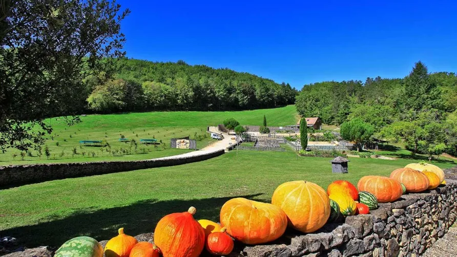 Domaine Périgord Vacances