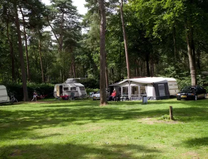 Vakantiepark Bonte Vlucht