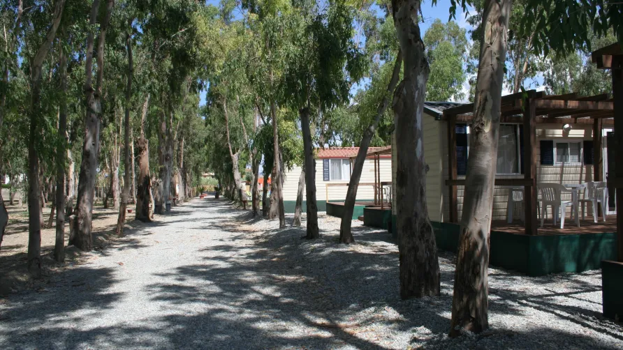 Batuca Village & Camping