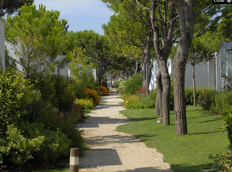 Club del Sole Jesolo Family Resort 
