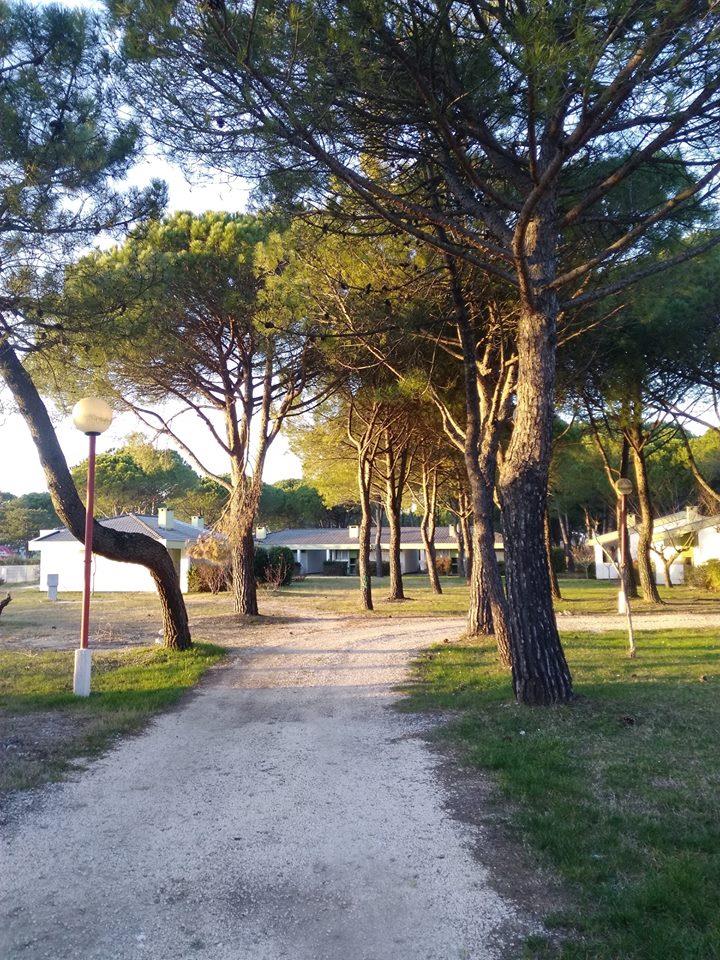 Club del Sole Marina Julia Family Collection
