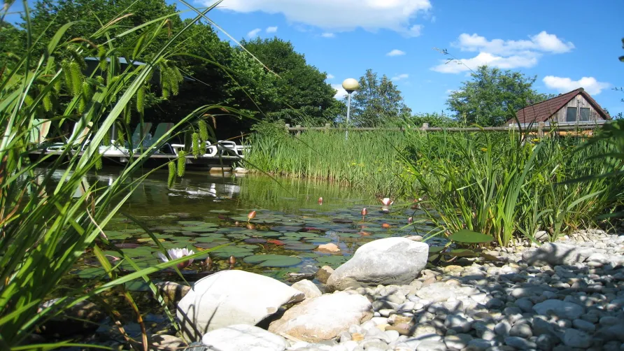 Aktiv Camp Purgstall Camping- & Ferienpark