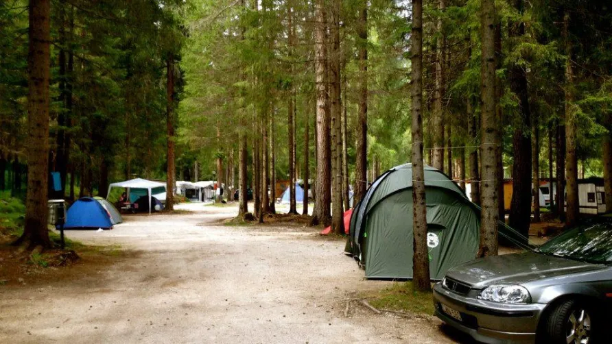 International Camping Olympia