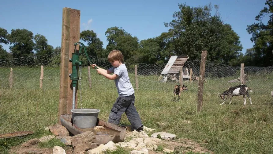 Camping la Ferme de la Folivraie