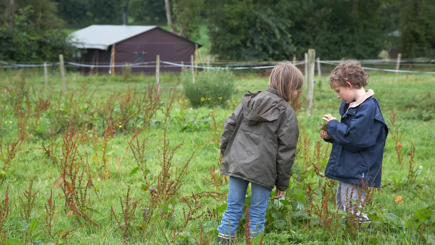 Camping la Ferme de la Folivraie