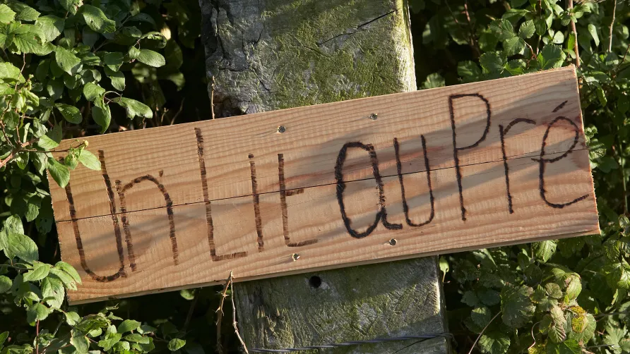 Camping la Ferme de la Folivraie