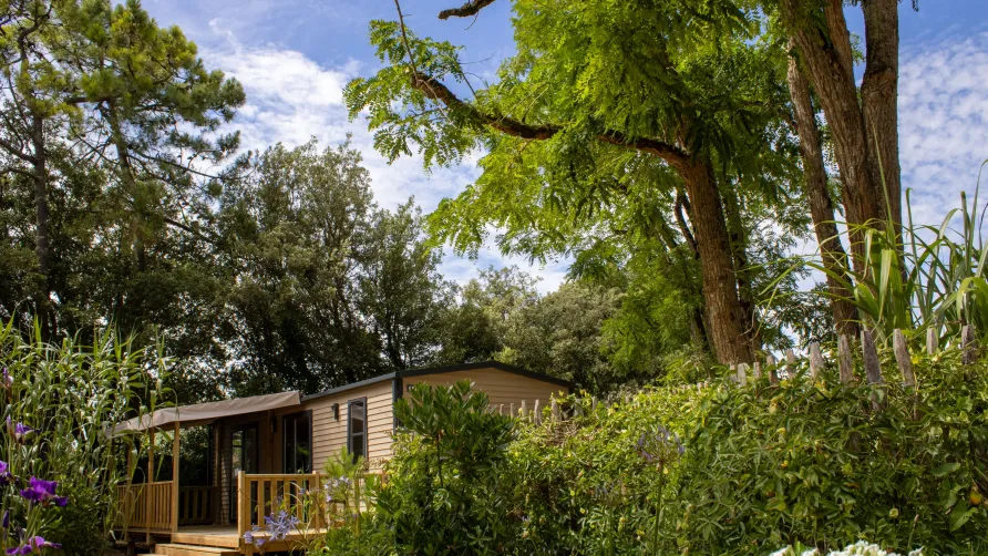 Camping Le Bois Verdon