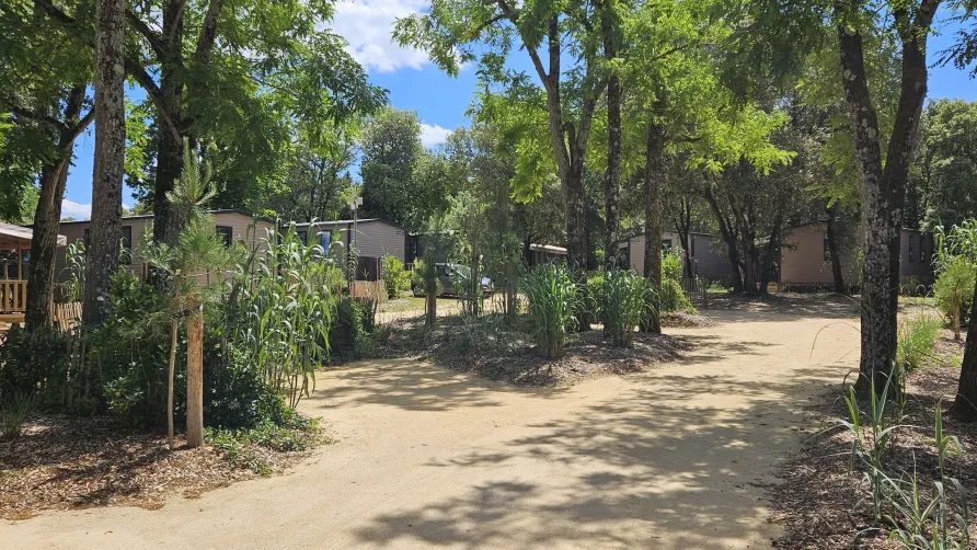 Camping Le Bois Verdon