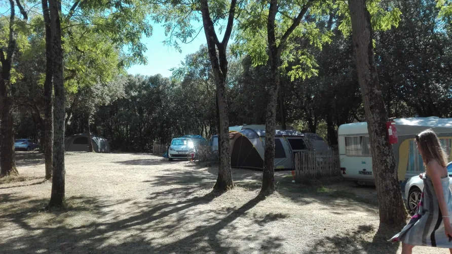 Camping Le Bois Verdon