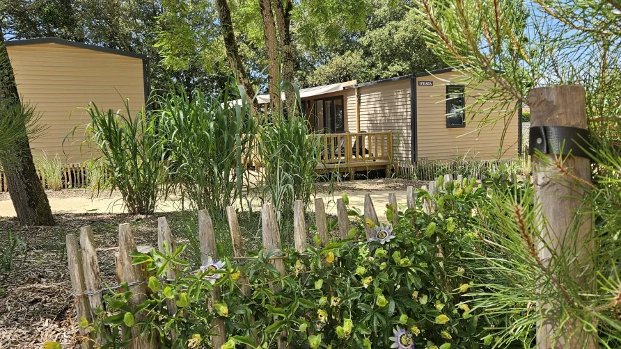 Camping Le Bois Verdon