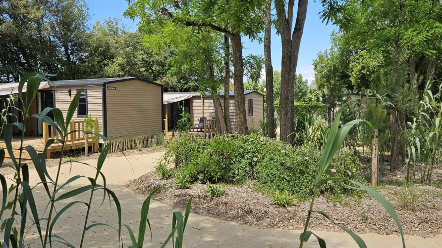 Camping Le Bois Verdon