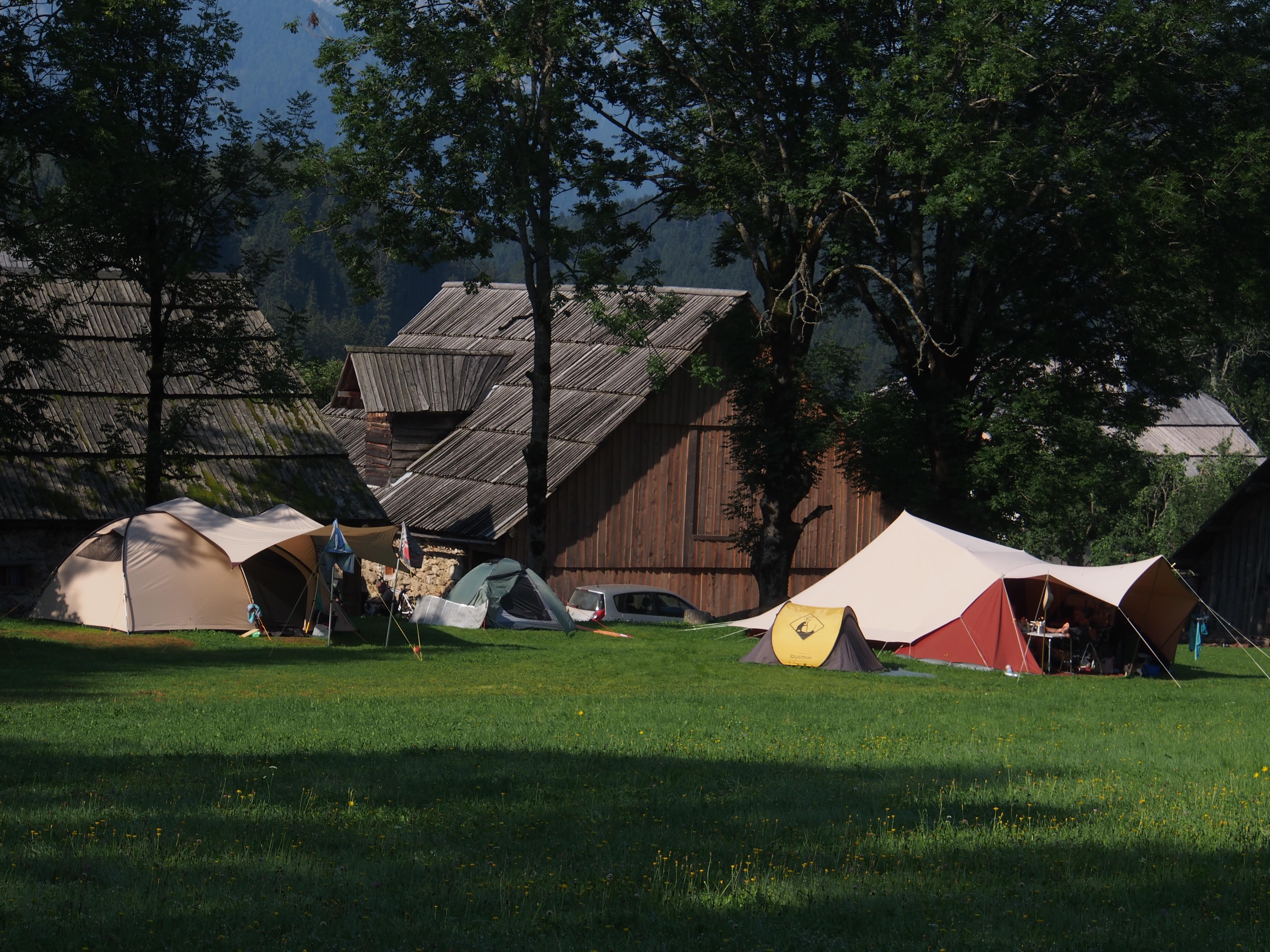 Senk's Homestead