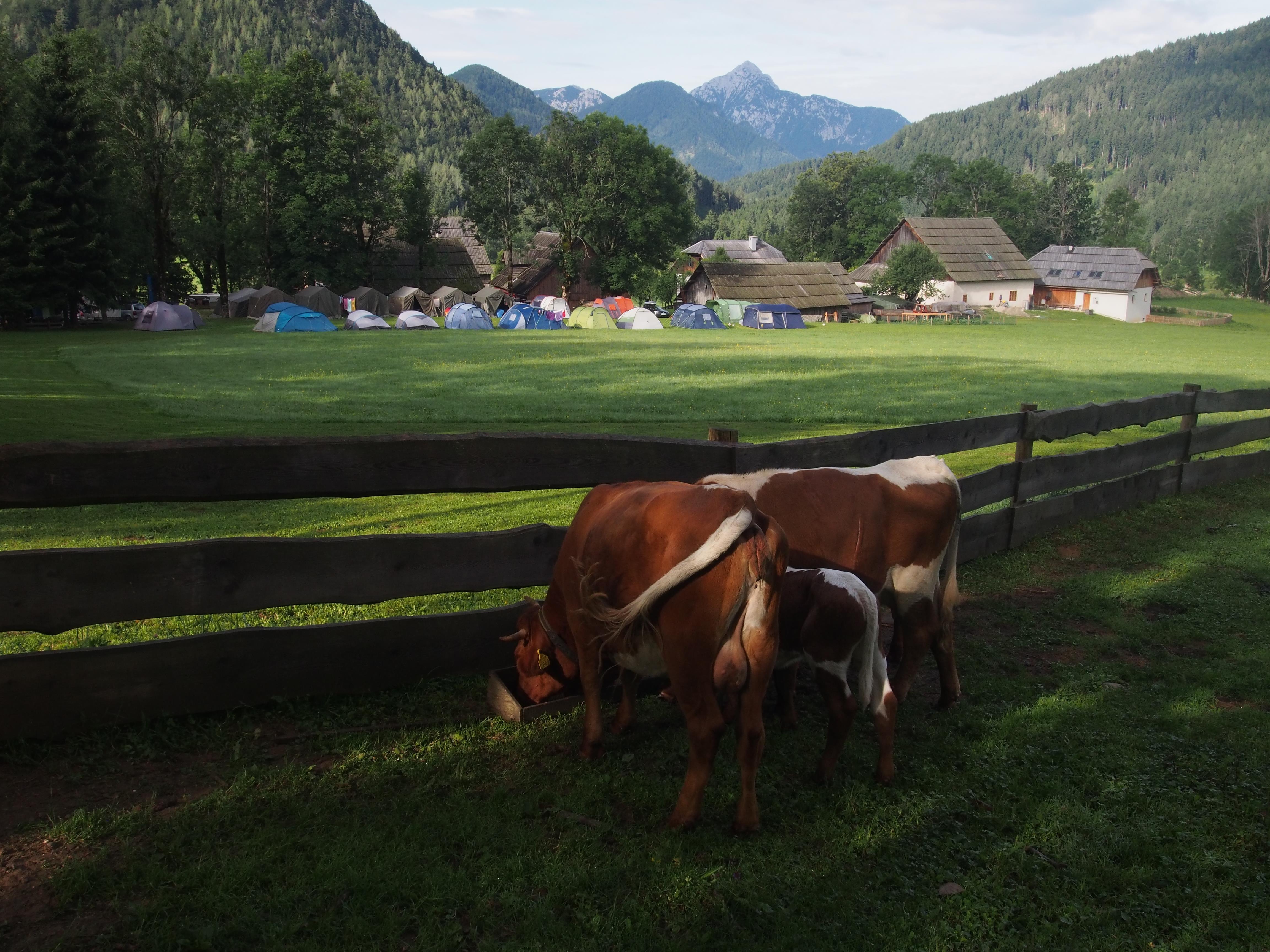 Senk's Homestead