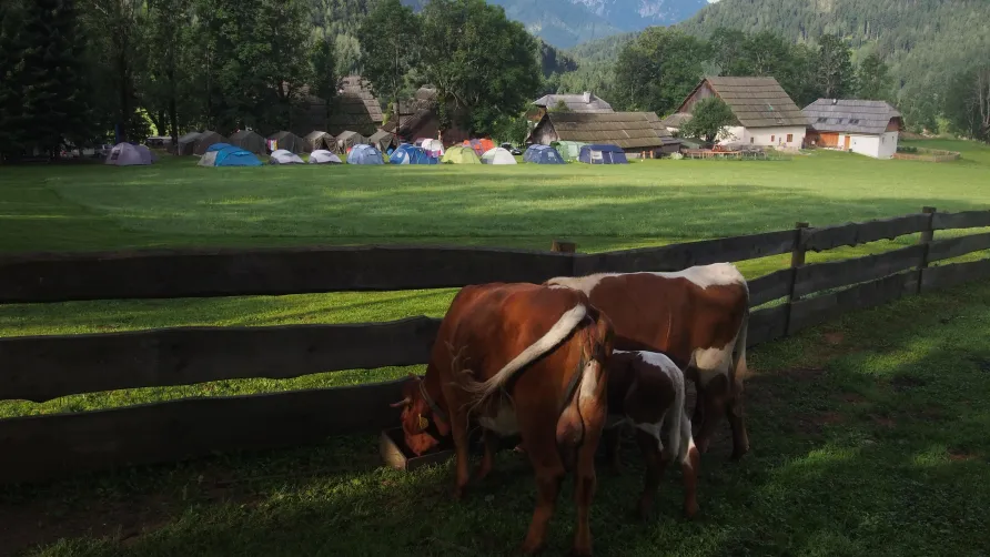 Senk's Homestead