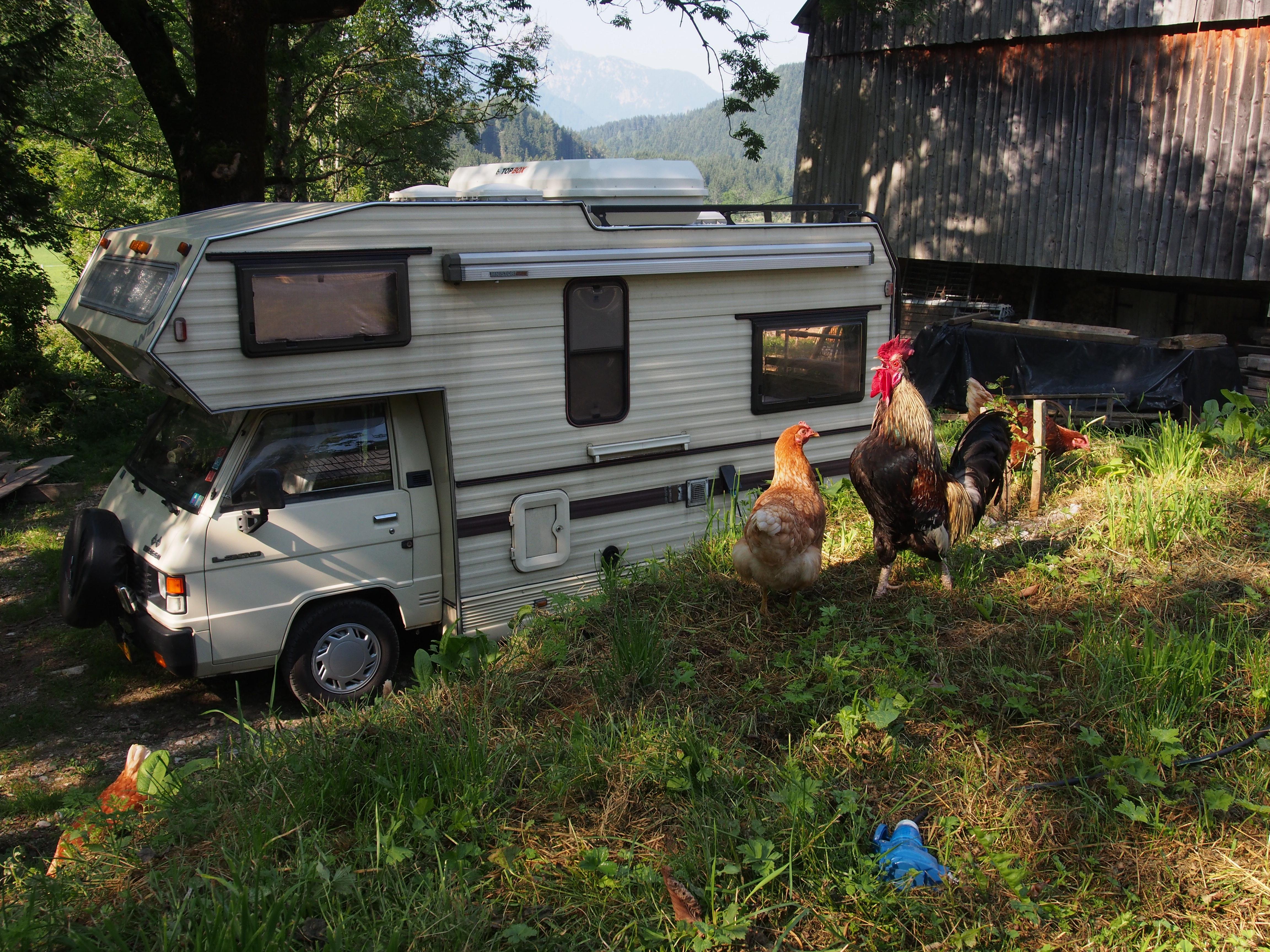 Senk's Homestead