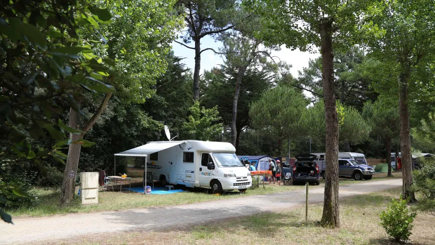 Le Bois de la Gachère