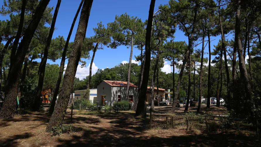 Le Bois de la Gachère
