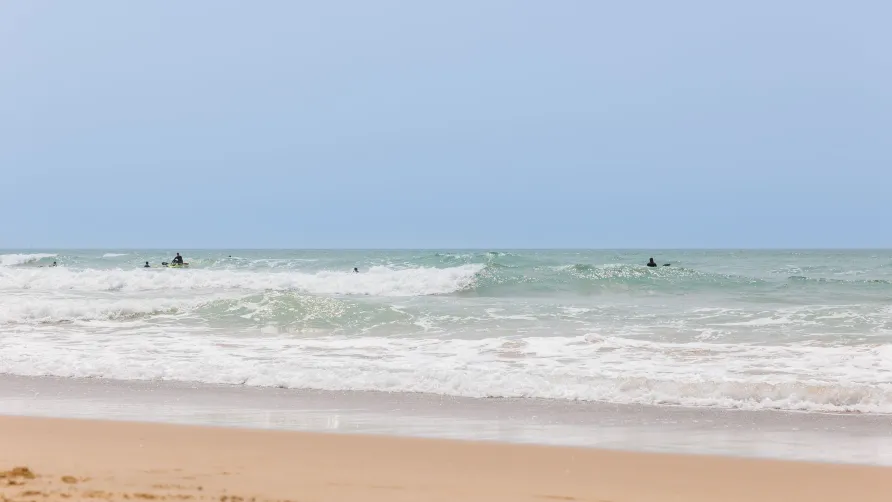 Le Bois de la Gachère