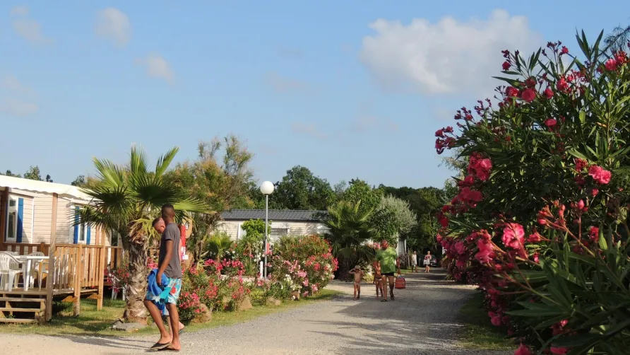 Camping La Pépinière