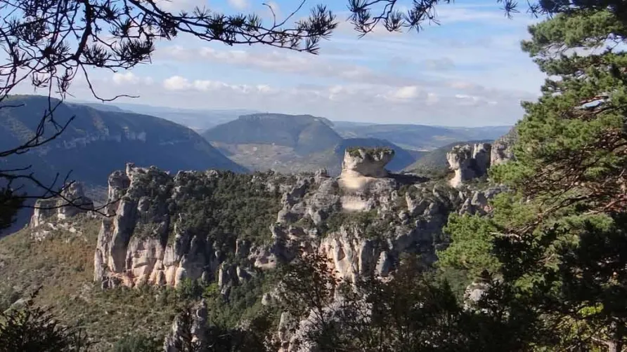 Camping LES CERISIERS