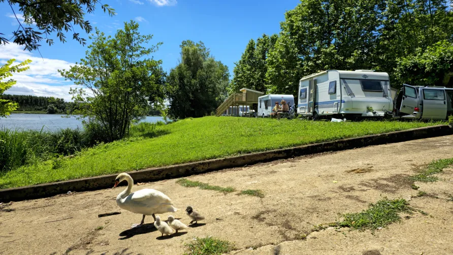 Camping La Clé de Saône