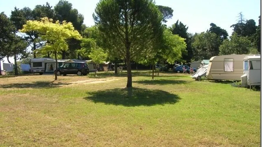 Camping Le Cathare