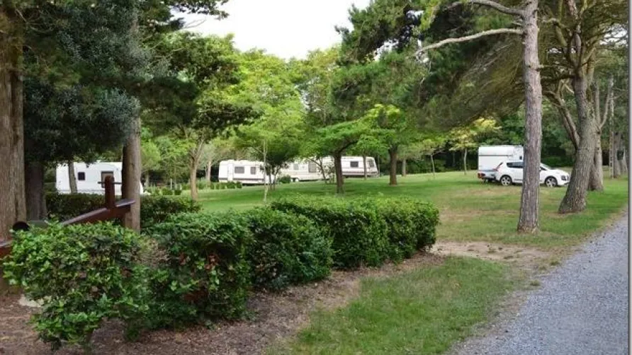 Camping Le Cathare