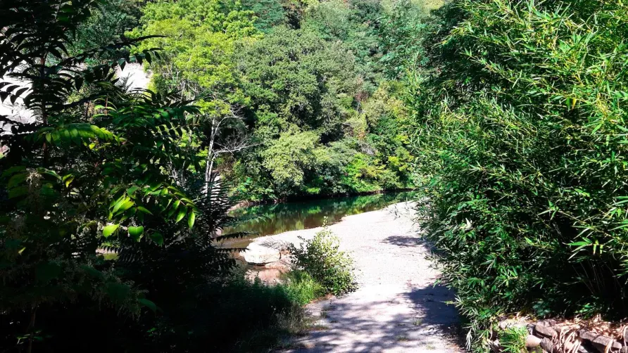 Camping des Drouilhèdes