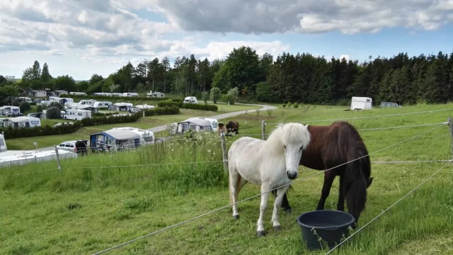 Faaborg Camping